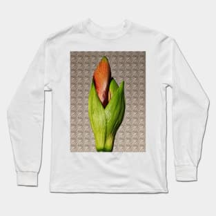 Orangery Red Amaryllis Bud Long Sleeve T-Shirt